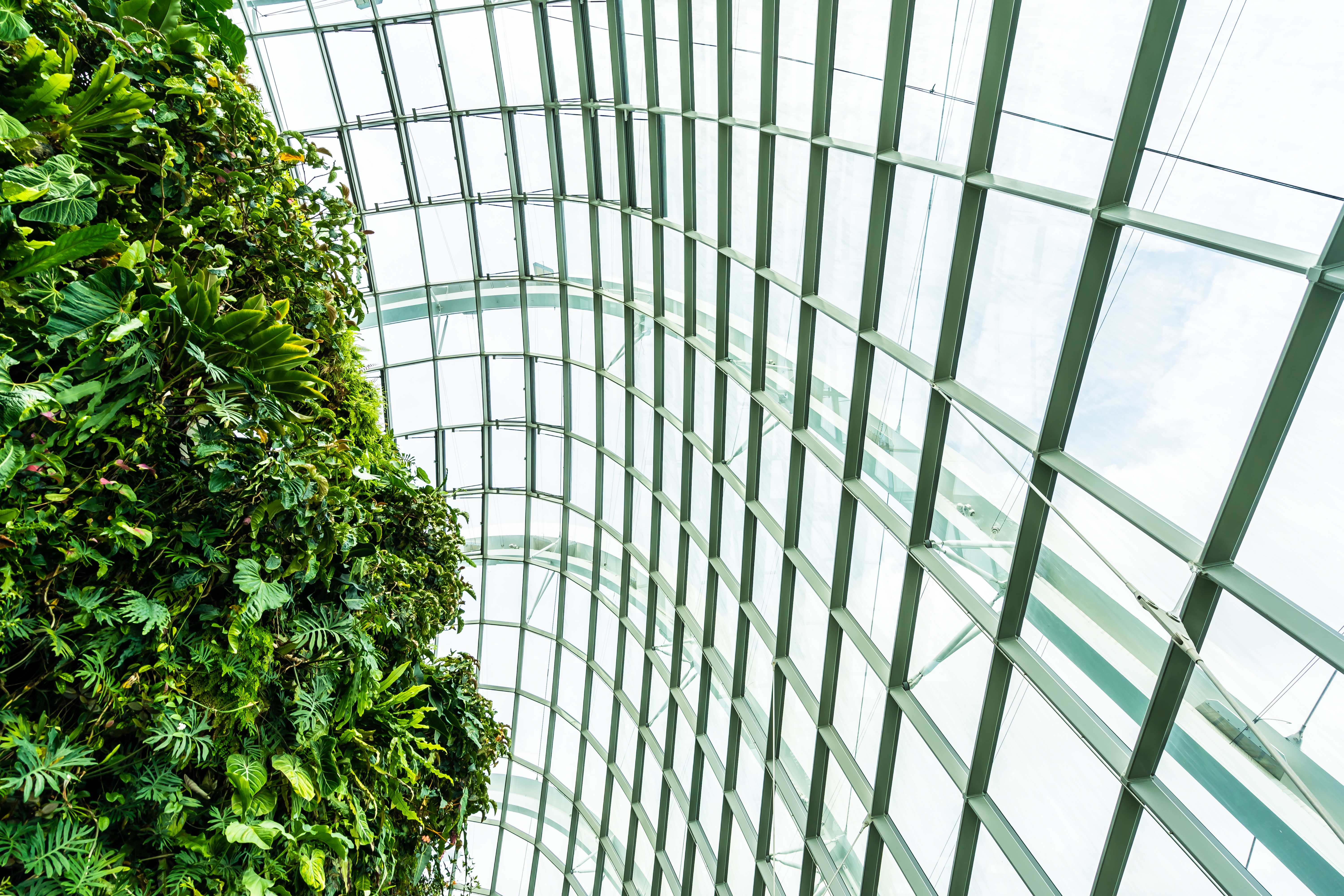 Steel and glass dome structure with green wall